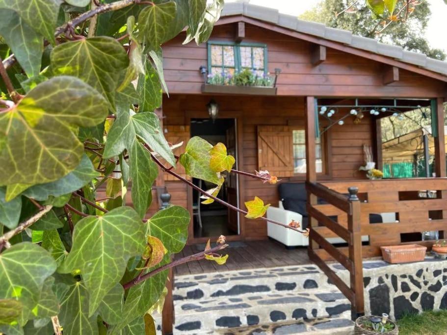 Desconexion Y Paz, Cabana En La Sierra Альбалате-де-Сорита Экстерьер фото